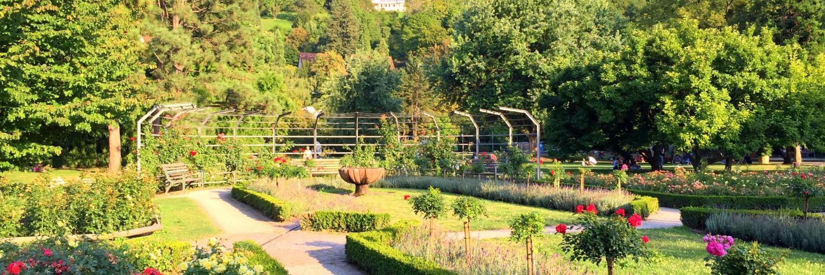 Stadtgarten Freiburg